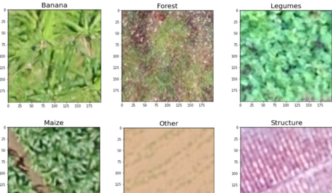 thumbnail of the six images classes for crop classification